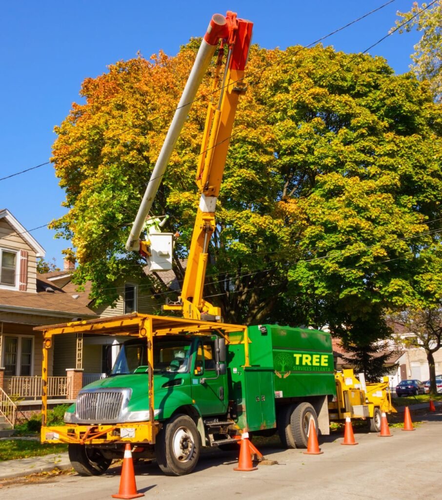 Tree Removal Atlanta