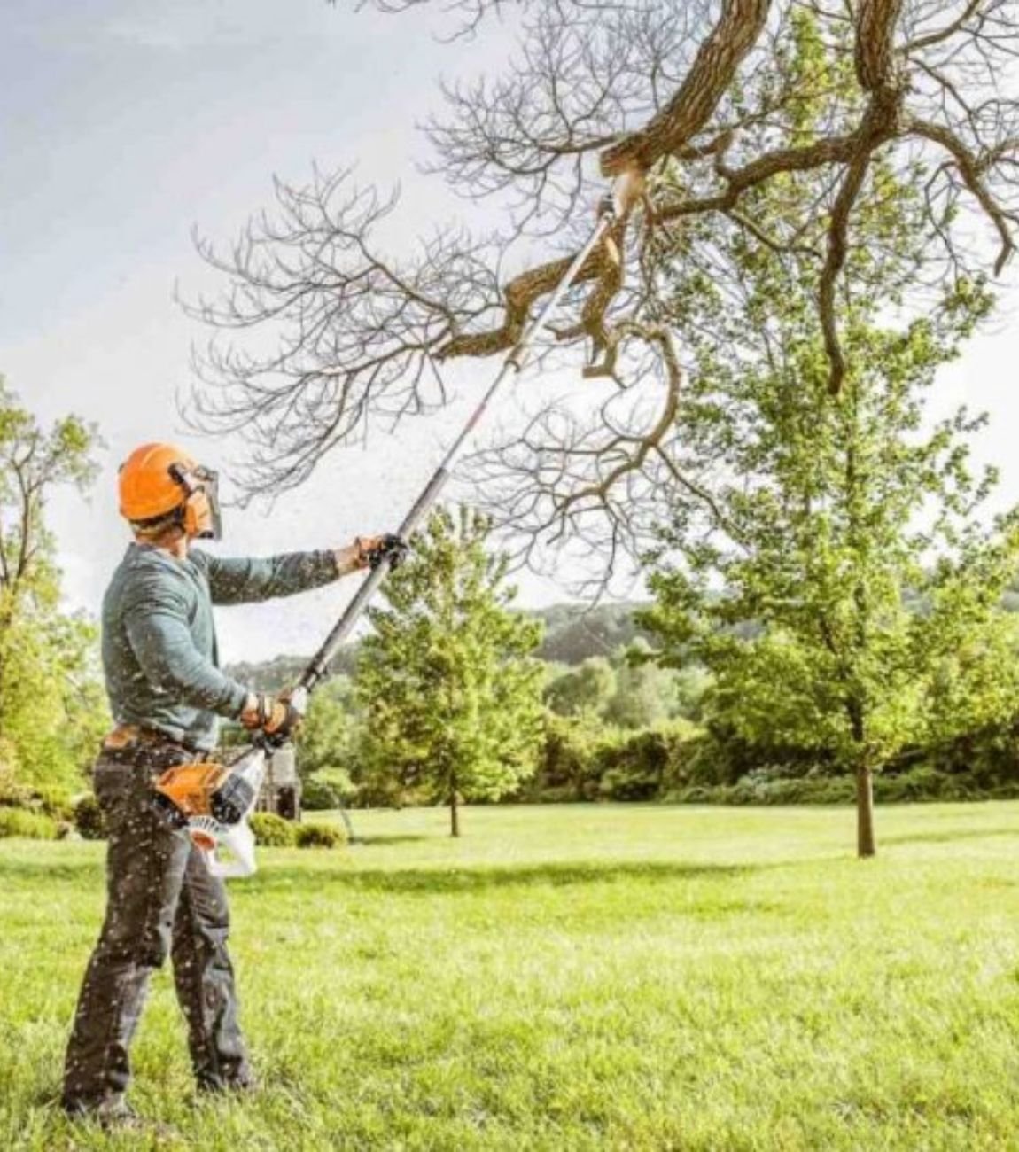 commercial tree services in atlanta