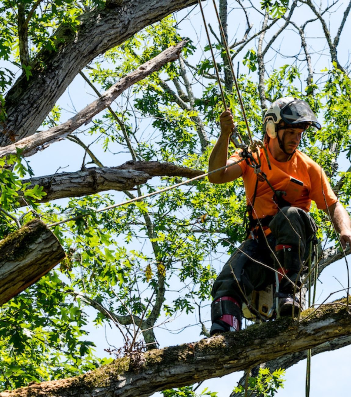 Storm Damage Cleanup Service Atlanta