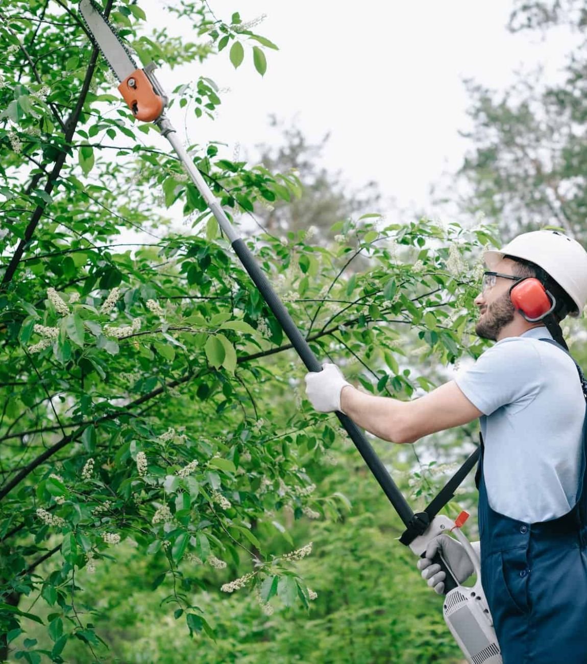 commercial tree services in atlanta